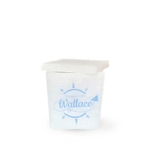 Cofanetto in Cera "Viaggia con Wallace"